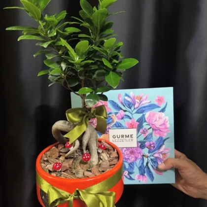 Bonsai