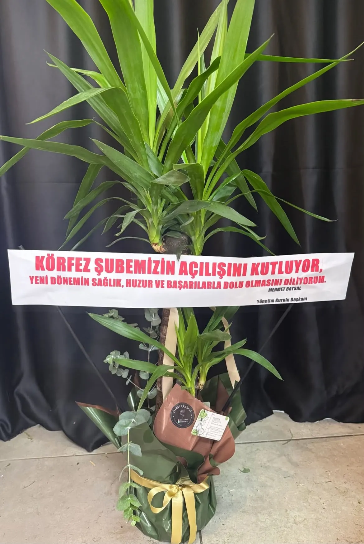 İkili Yuka