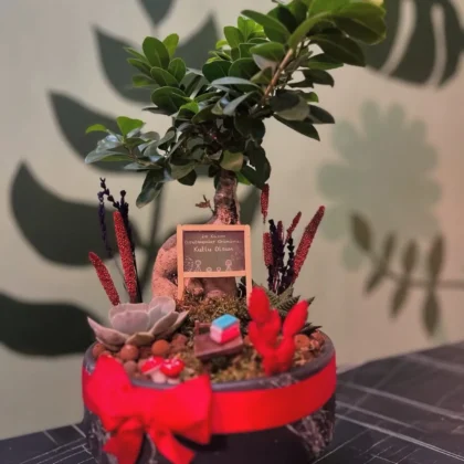 Kumkuat