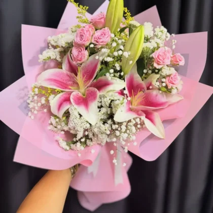 Pembe-Beyaz Oryantal Lilyum